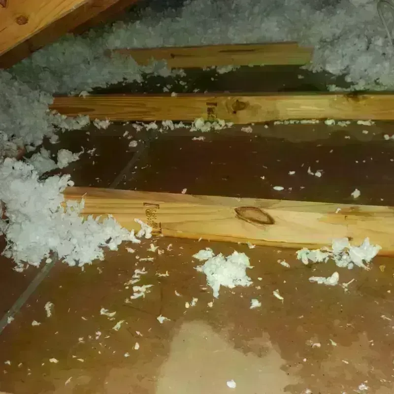 Attic Water Damage in Neoga, IL